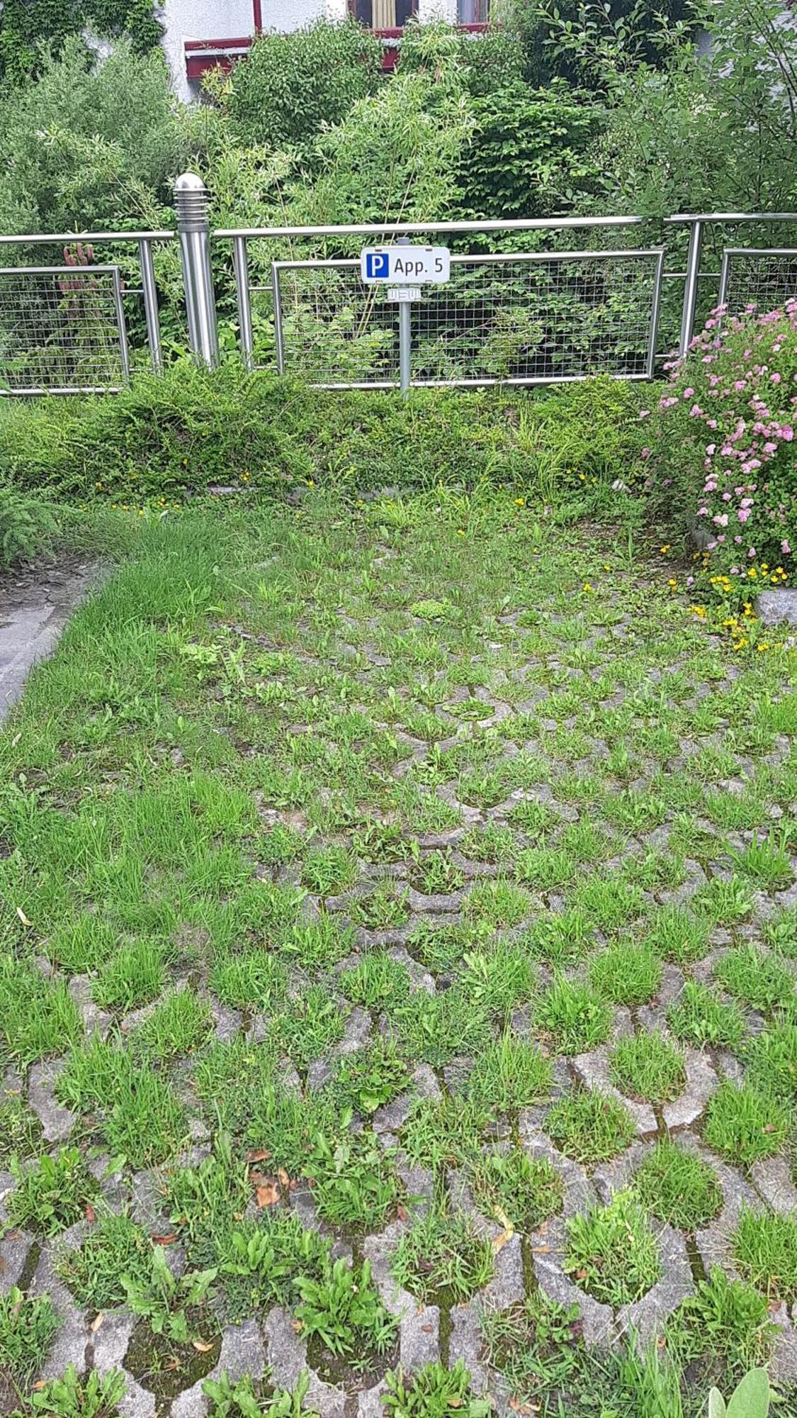 Apartment Welser Ybbsitz Luaran gambar